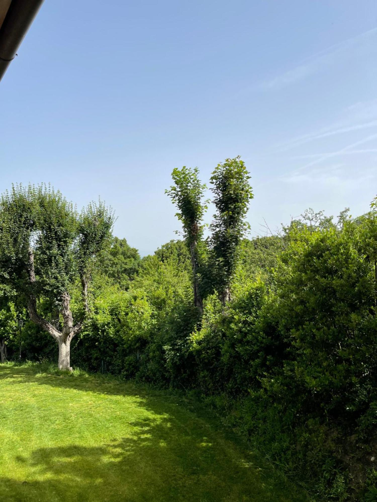 L' Aia Del Principe Villa Montepulciano Stazione Kültér fotó