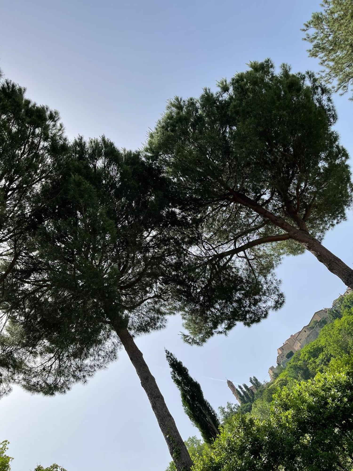 L' Aia Del Principe Villa Montepulciano Stazione Kültér fotó
